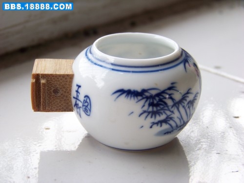 100_7068_conew1.jpg