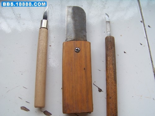 100_7069_conew1.jpg