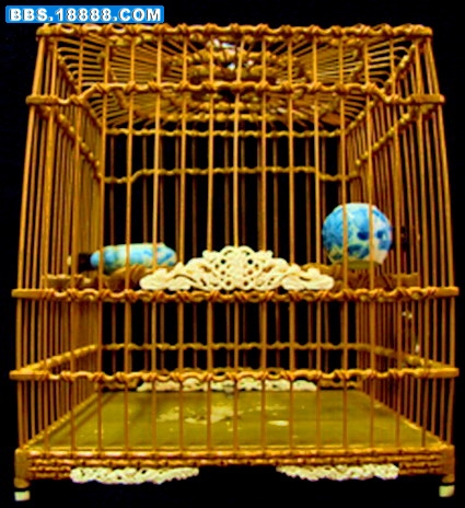 DSCF1101.jpg