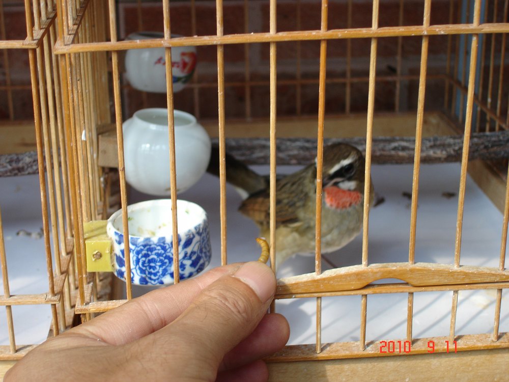 操练 (1).jpg