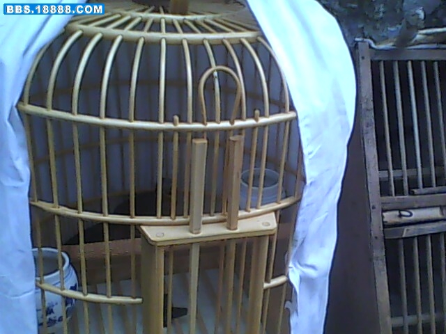 IMG0098A.jpg