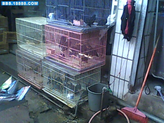 IMG0134A.jpg