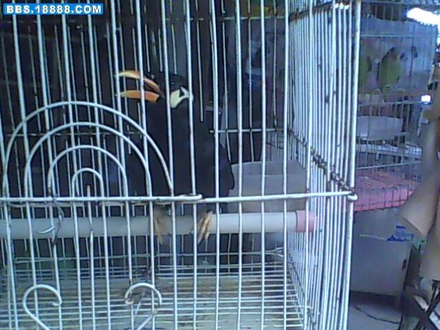IMG0113A.jpg