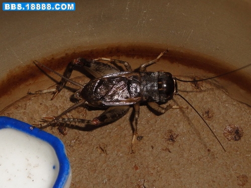 DSC02591_调整大小.jpg