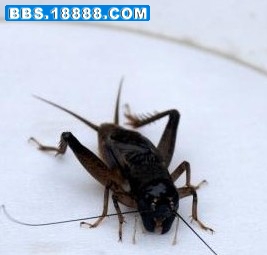 SD%9}5{31(TJ)RDJIERQ8FG.jpg