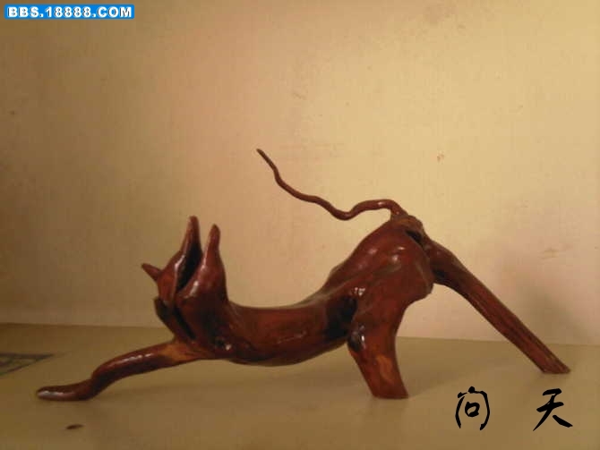 45365_conew1.jpg