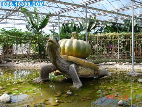 DSC06297_缩小大小.JPG