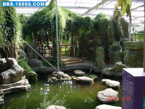 DSC06299_缩小大小.JPG