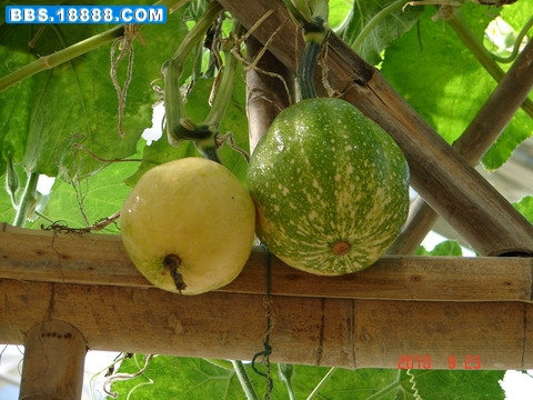 DSC06318_缩小大小.JPG