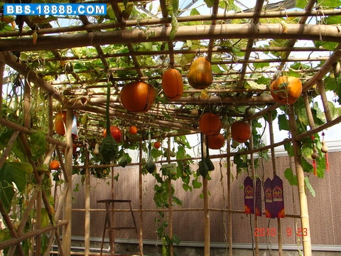 DSC06298_缩小大小.JPG