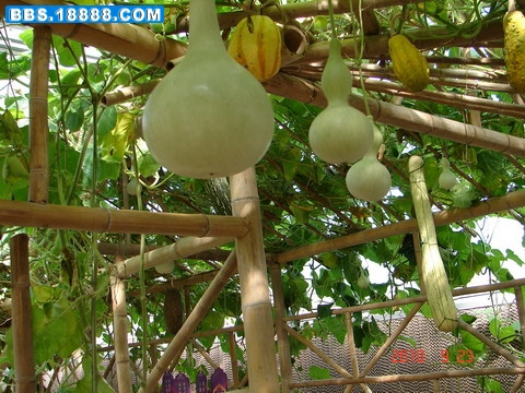 DSC06302_缩小大小.JPG