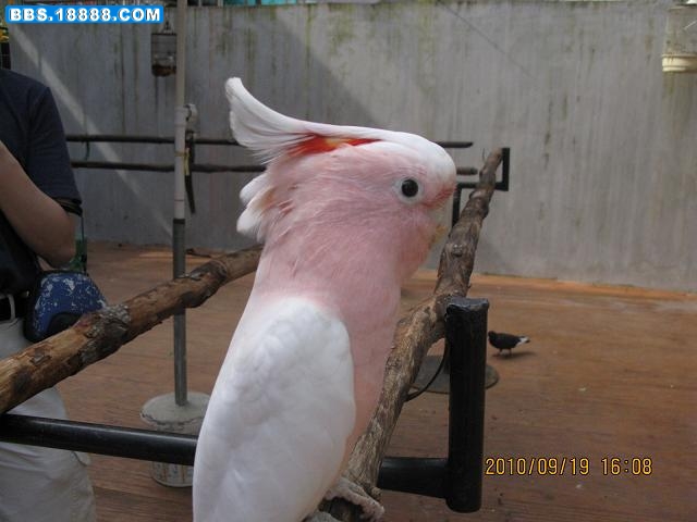 Copy of 293- 025.jpg