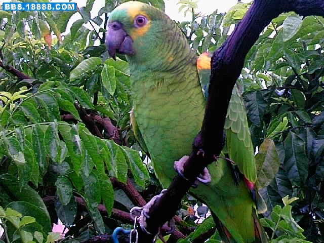 IMAG0938.jpg