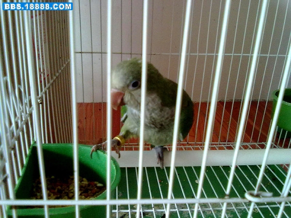 20100913095.jpg