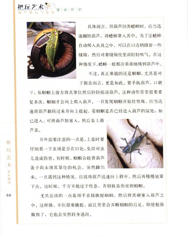 葫芦把玩与鉴赏_p0068.jpg
