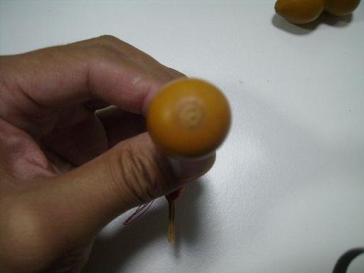 P9300056.JPG