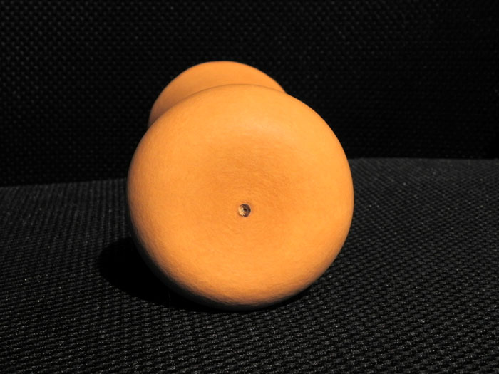 DSCN0525.jpg