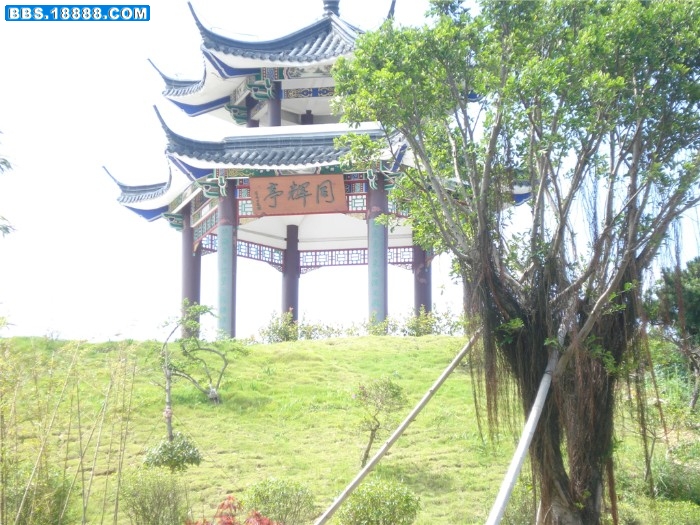 dsc00026_副本.jpg