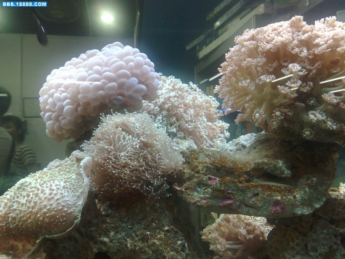 201009282510.jpg