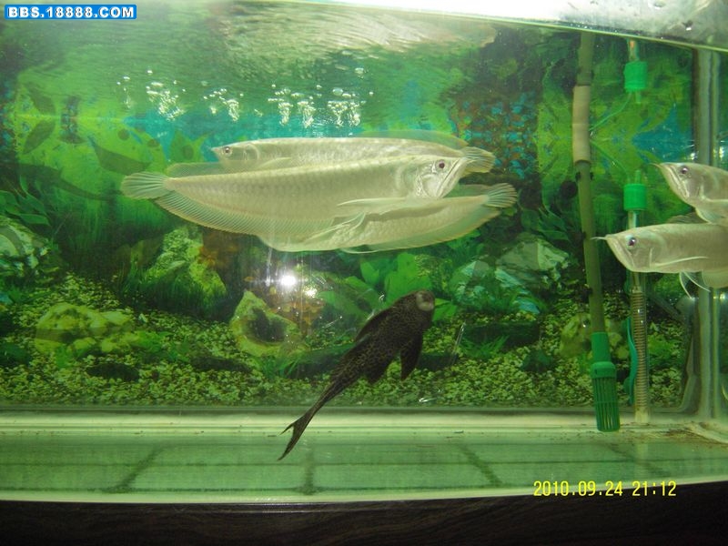SDC10634新.jpg