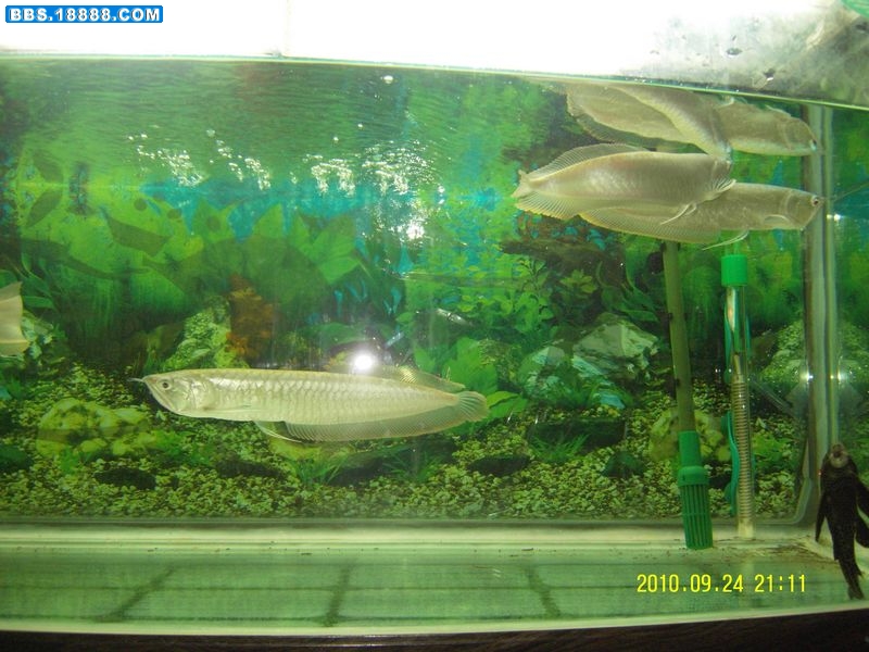 SDC10631新.jpg
