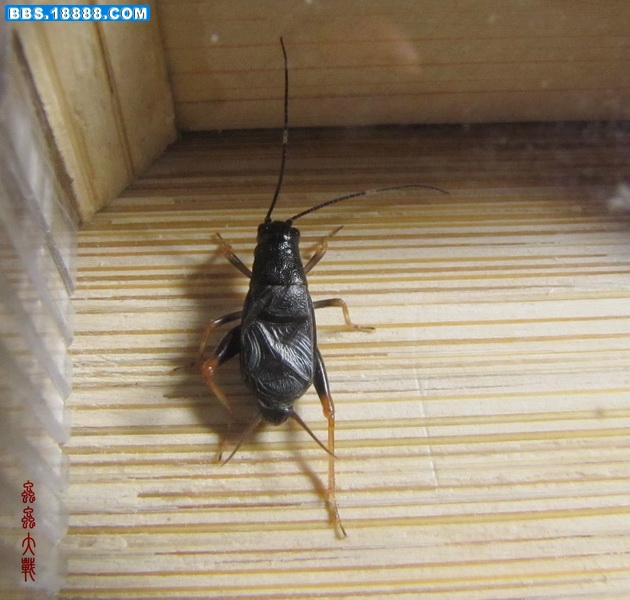 IMG_0840_调整大小.JPG