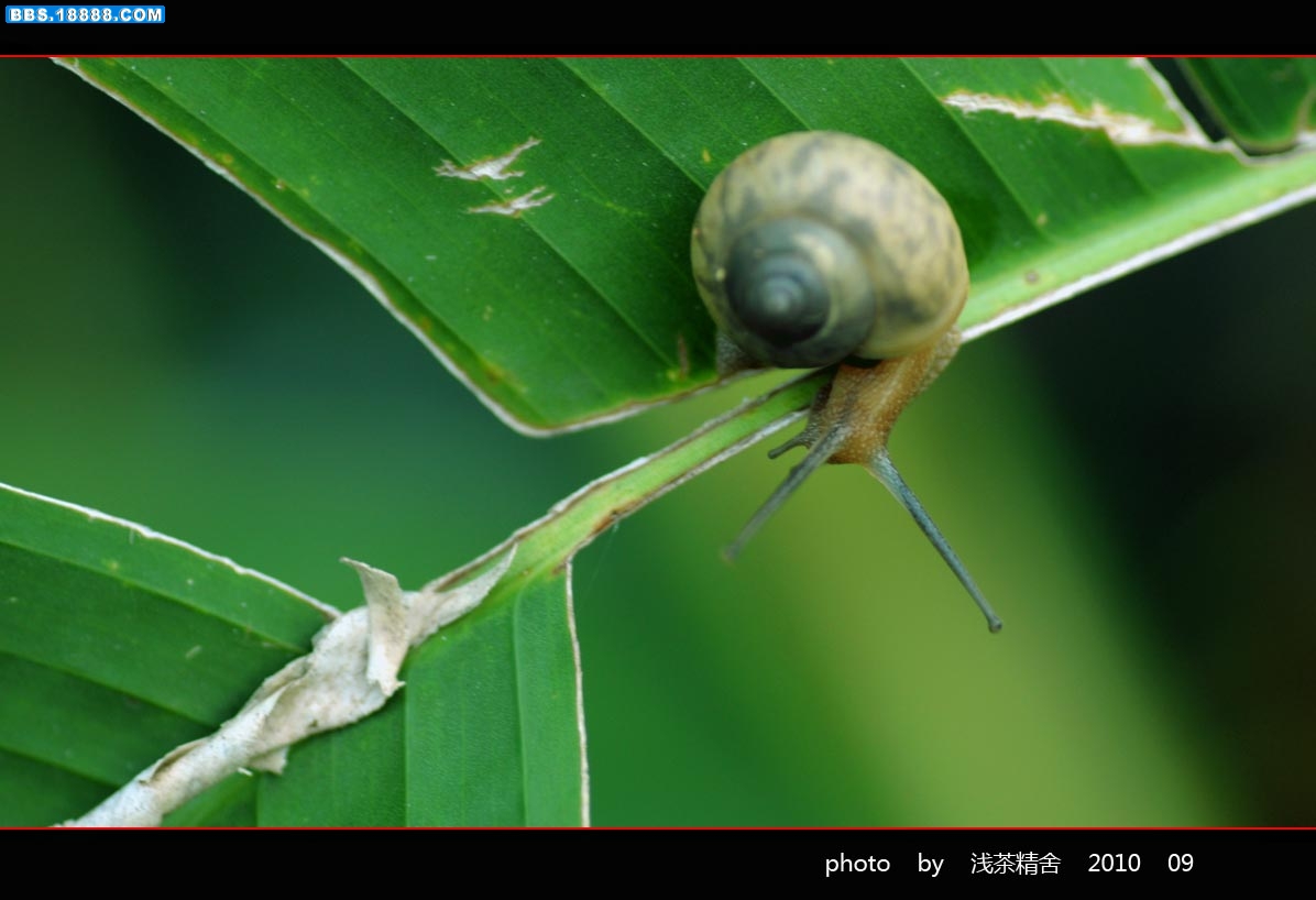 DSC_0025-1.jpg