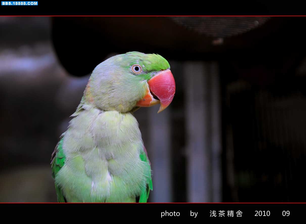 DSC_0198-1.jpg
