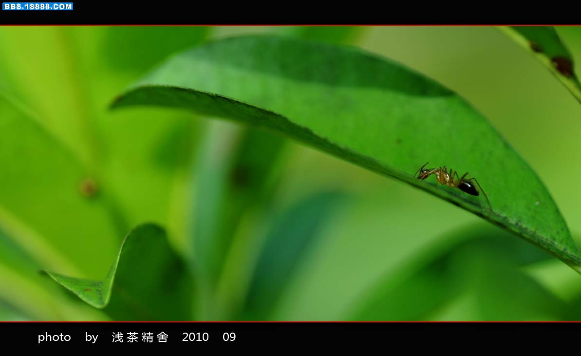 DSC_0087-1.jpg