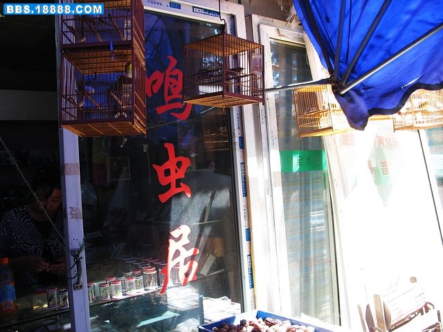 nEO_IMG_IMG_7943.jpg