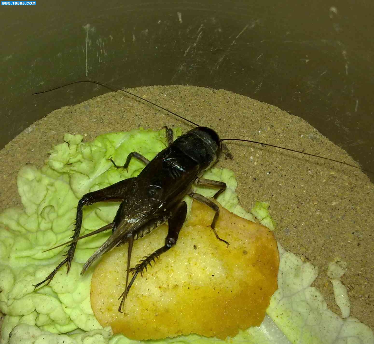 20100930382.jpg