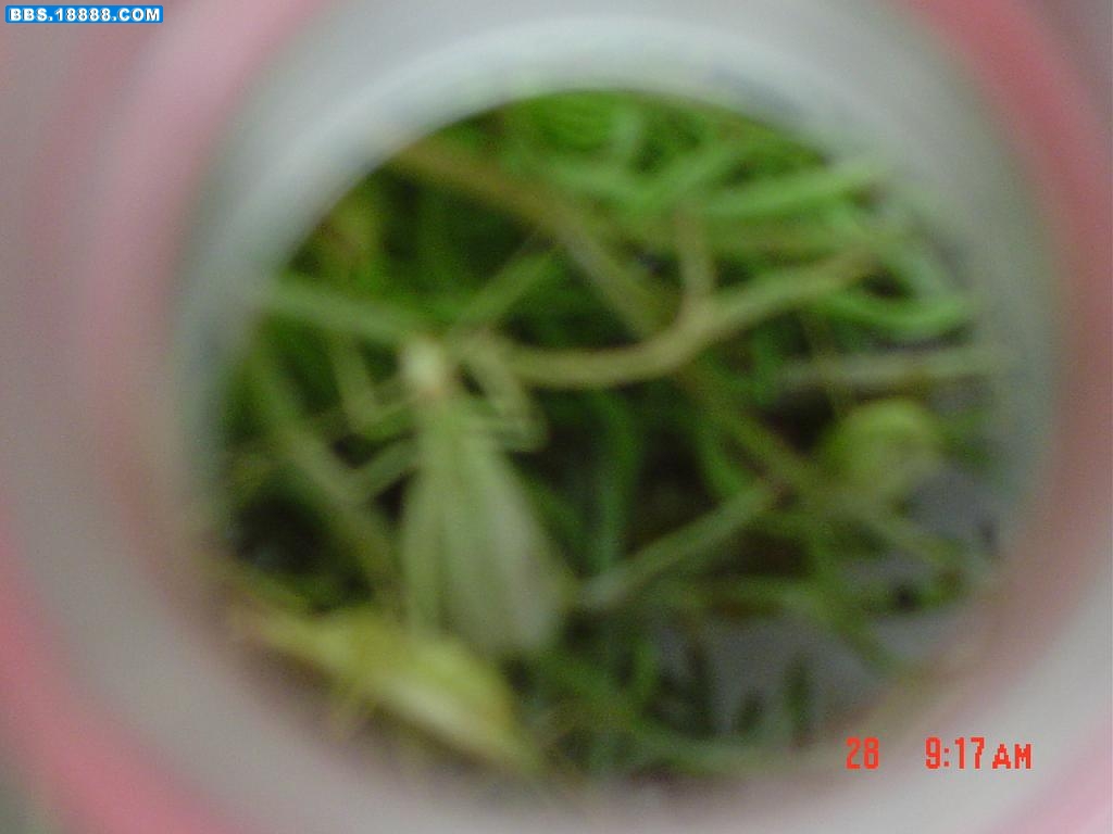 DSC03505.JPG
