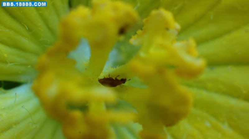 DSC05621-`.jpg