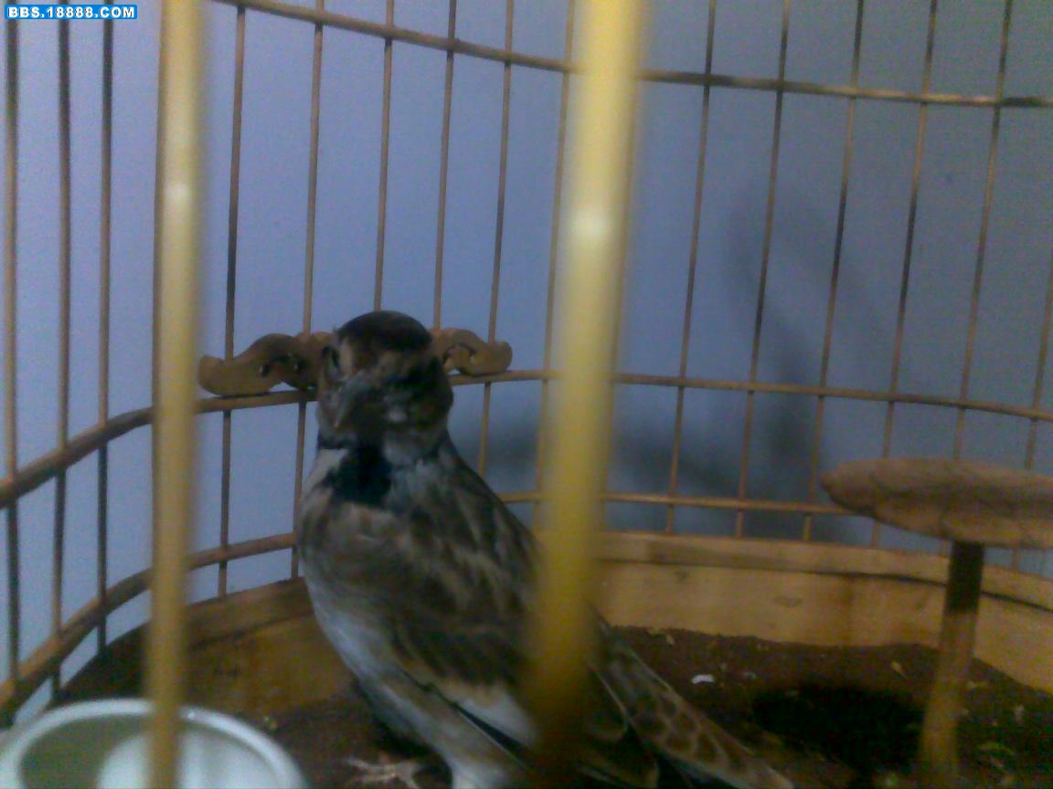 20100915142.jpg