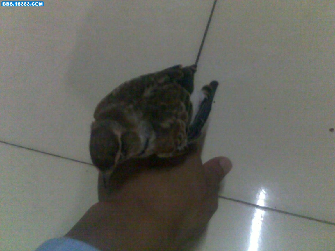 20100923188.jpg