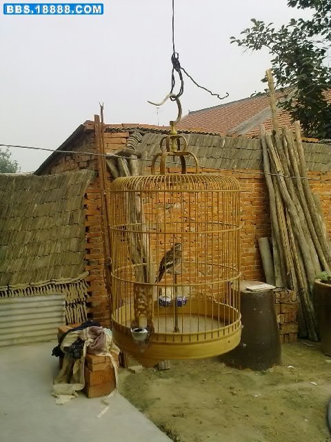 20100905098.jpg