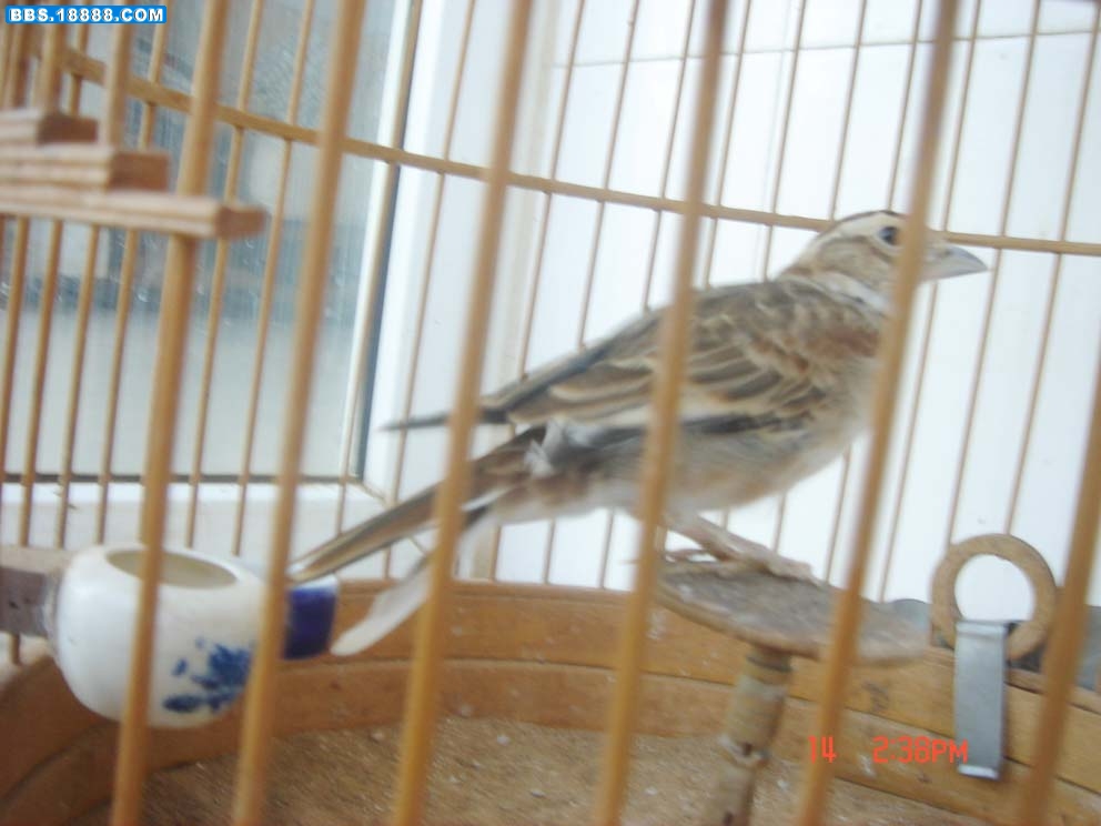 DSC05578.JPG