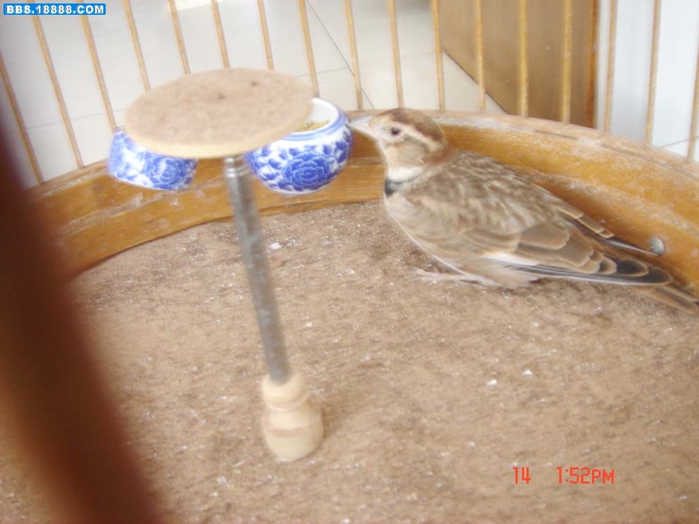 DSC05522.JPG