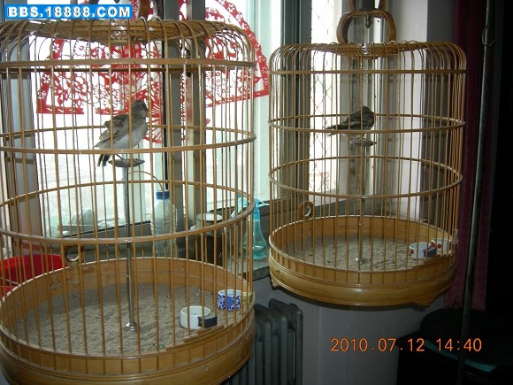 DSCN4373+.jpg
