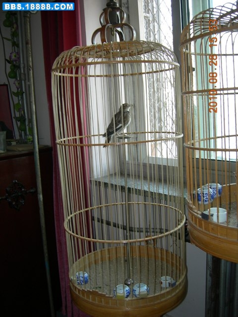 DSCN4445+1+.jpg