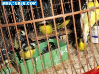 100_0052.JPG