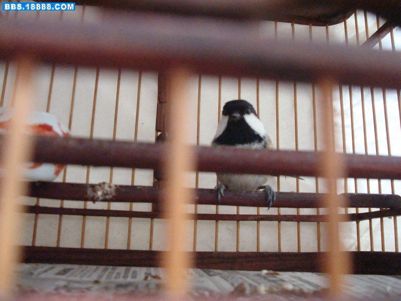 DSC05575.JPG