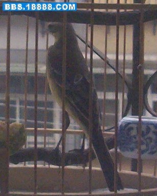 0830_074342.jpg
