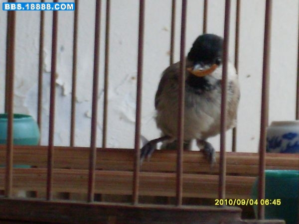 SDC12138.JPG