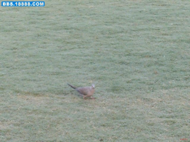 nEO_IMG_PICT2430.jpg
