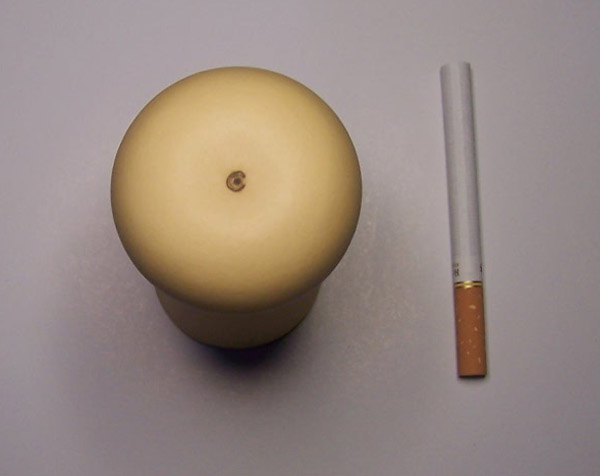 2010小郭 074.jpg