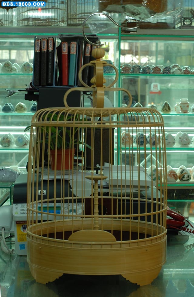 DSC_0001.JPG