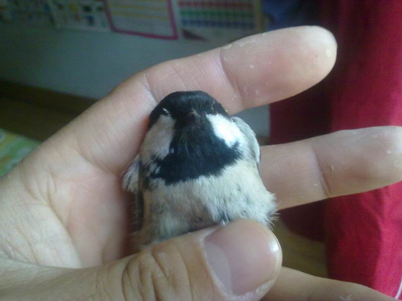 20101023399.jpg