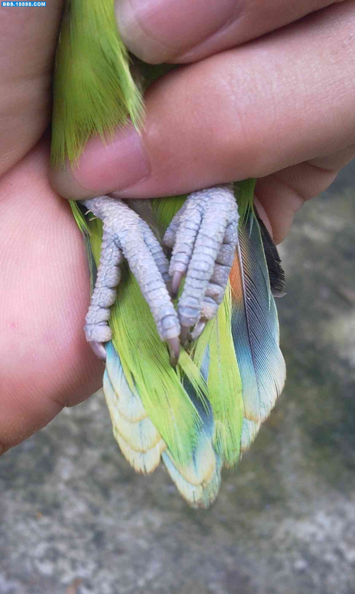 3.jpg