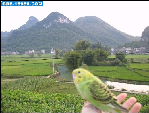 好看吗.jpg